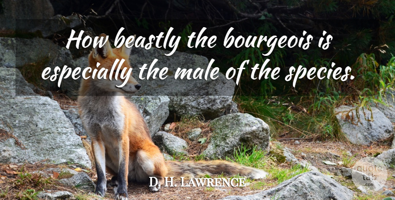 D. H. Lawrence Quote About Men, Class, Males: How Beastly The Bourgeois Is...