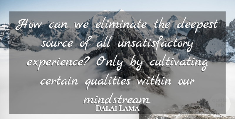 Dalai Lama Quote About Quality, Certain, Source: How Can We Eliminate The...