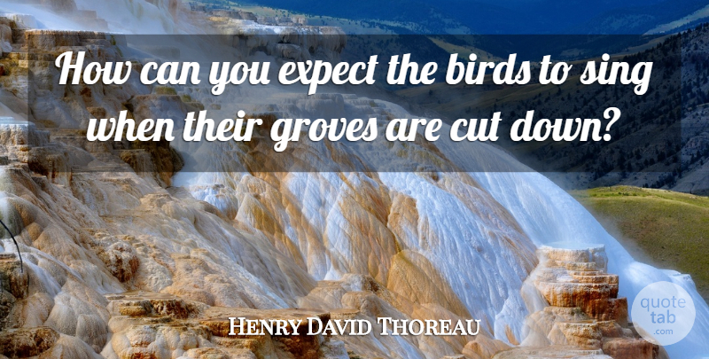 Henry David Thoreau Quote About Cutting, Bird, Grove: How Can You Expect The...