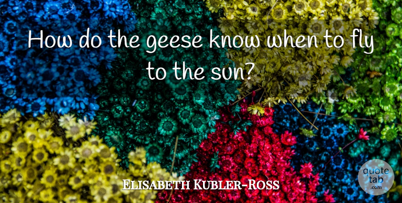 Elisabeth Kubler-Ross Quote About Sun, Just Move On, Geese: How Do The Geese Know...