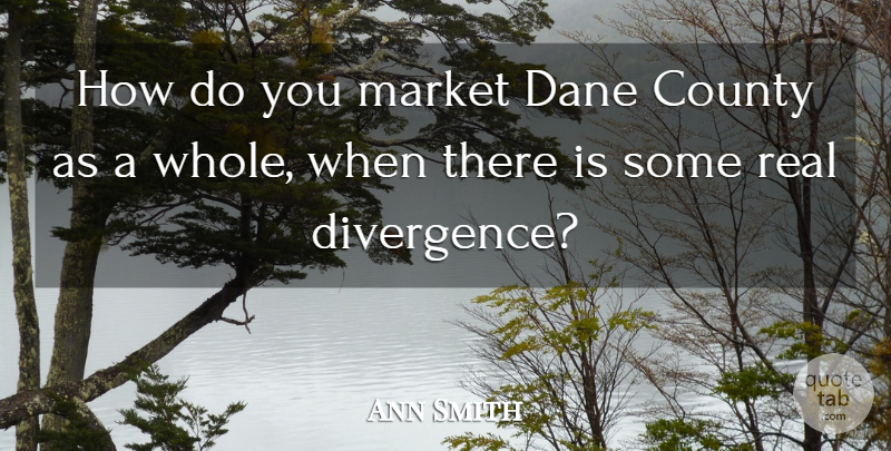 Ann Smith Quote About County, Market: How Do You Market Dane...