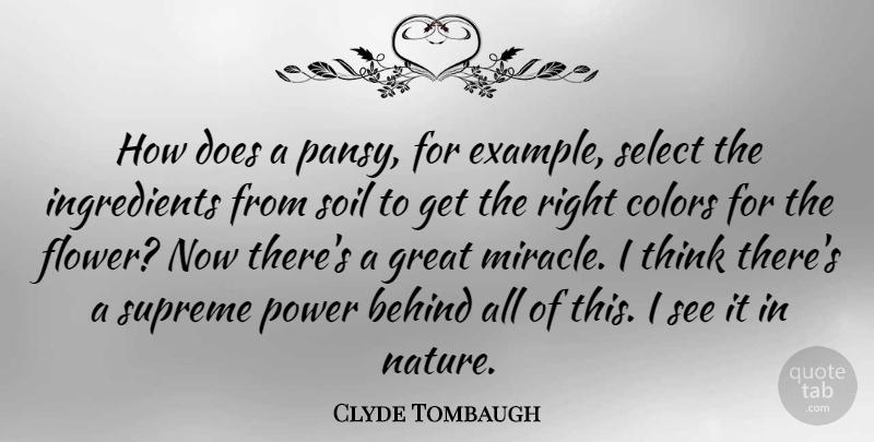 Clyde Tombaugh Quote About Flower, Thinking, Color: How Does A Pansy For...
