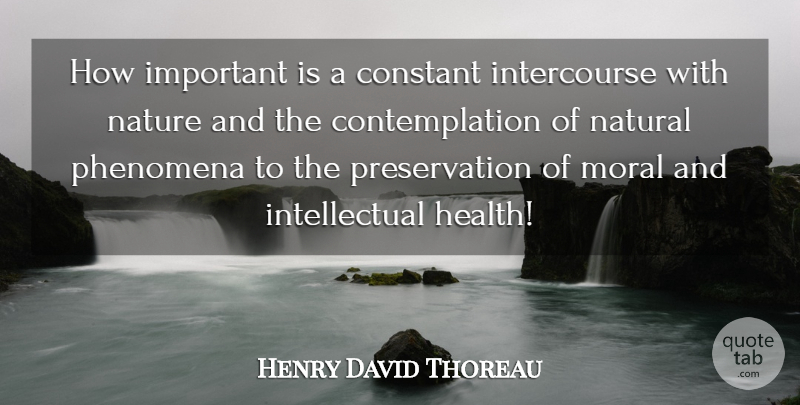 Henry David Thoreau Quote About Intellectual, Important, Moral: How Important Is A Constant...