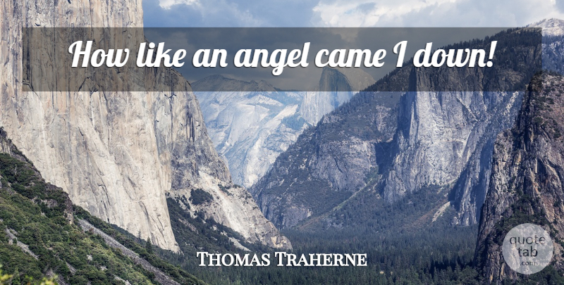 Thomas Traherne Quote About Angel: How Like An Angel Came...