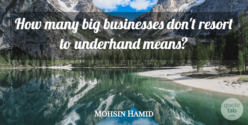Mohsin Hamid Quote About Mean, Bigs, Resorts: How Many Big Businesses Dont...