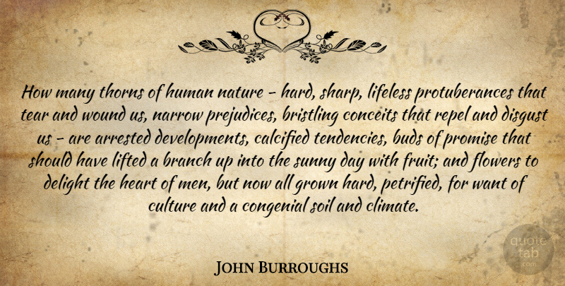 John Burroughs Quote About Flower, Heart, Men: How Many Thorns Of Human...