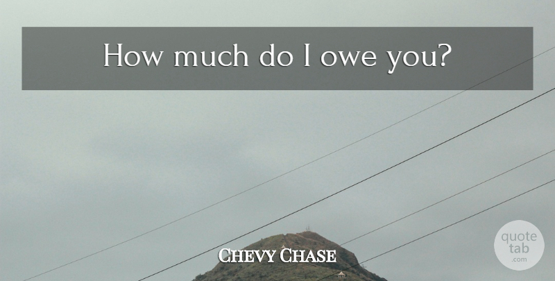 Chevy Chase Quote About Money: How Much Do I Owe...