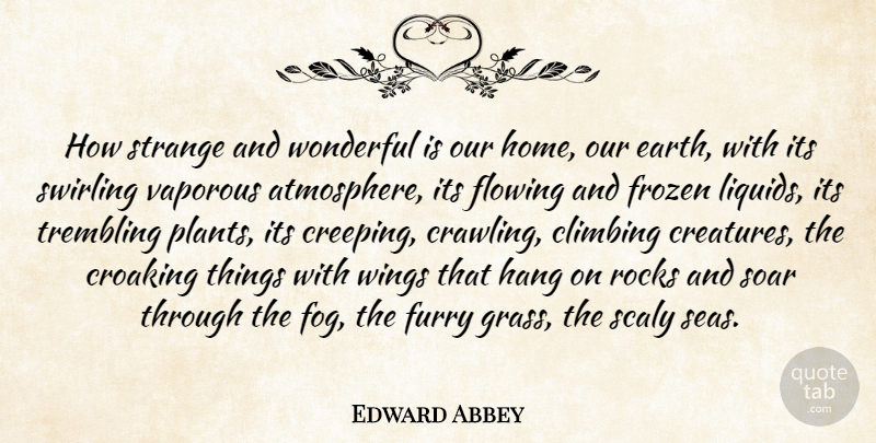 Edward Abbey Quote About Home, Rocks, Fog: How Strange And Wonderful Is...