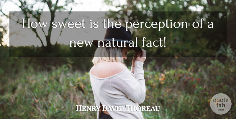 Henry David Thoreau Quote About Natural: How Sweet Is The Perception...