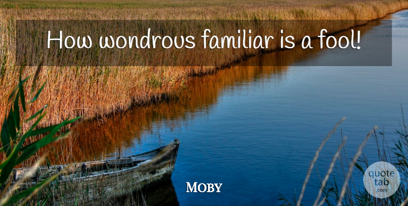Moby Quote About Fool, Familiar, Wondrous: How Wondrous Familiar Is A...