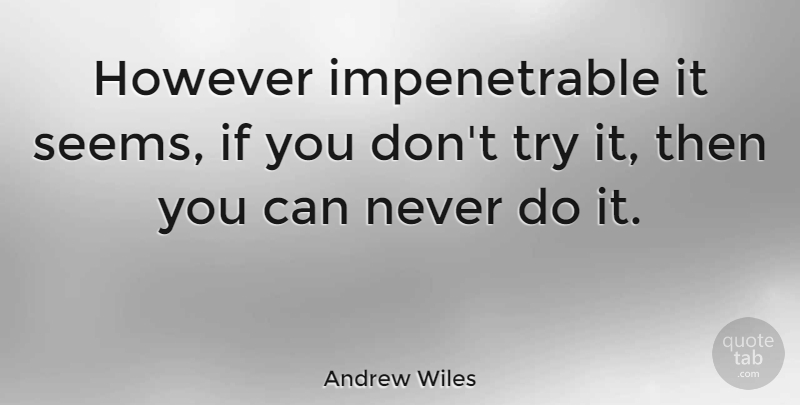 Andrew Wiles Quote About Trying, Ifs, Seems: However Impenetrable It Seems If...