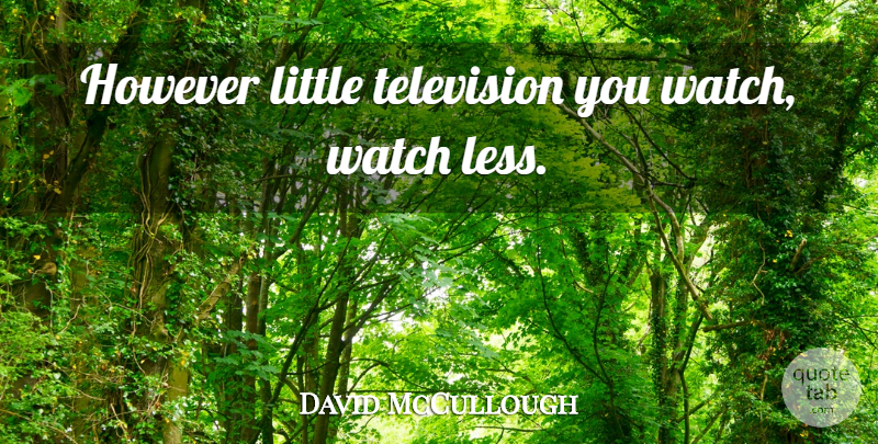 David McCullough Quote About Littles, Watches, Television: However Little Television You Watch...