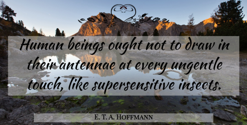 E. T. A. Hoffmann Quote About Friends, Insects, Draws: Human Beings Ought Not To...