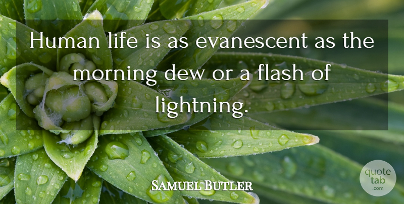 Samuel Butler Quote About Morning, Lightning, Dew: Human Life Is As Evanescent...
