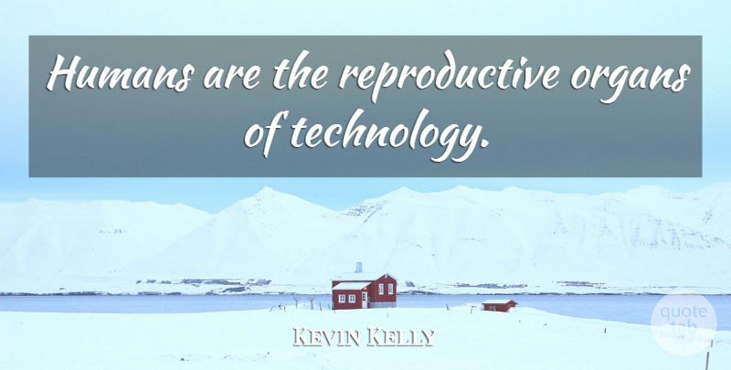 Kevin Kelly Quote About Technology, Humans, Organs: Humans Are The Reproductive Organs...