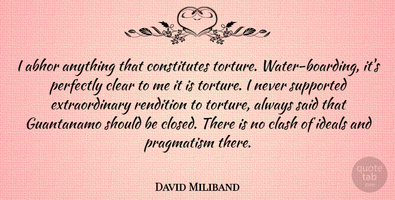 David Miliband Quote About Abhor, Clash, Ideals, Perfectly, Rendition: I Abhor Anything That Constitutes...