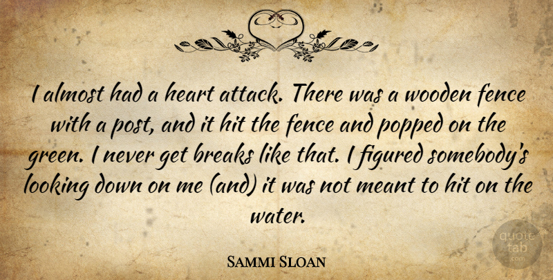 Sammi Sloan Quote About Almost, Breaks, Fence, Figured, Heart: I Almost Had A Heart...