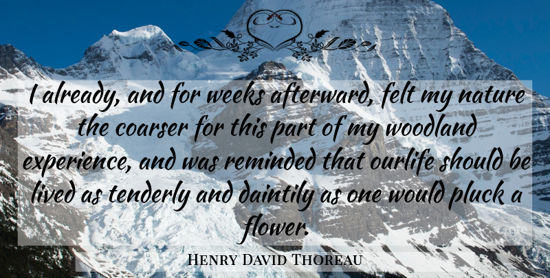 Henry David Thoreau Quote About Life, Flower, Hunting: I Already And For Weeks...