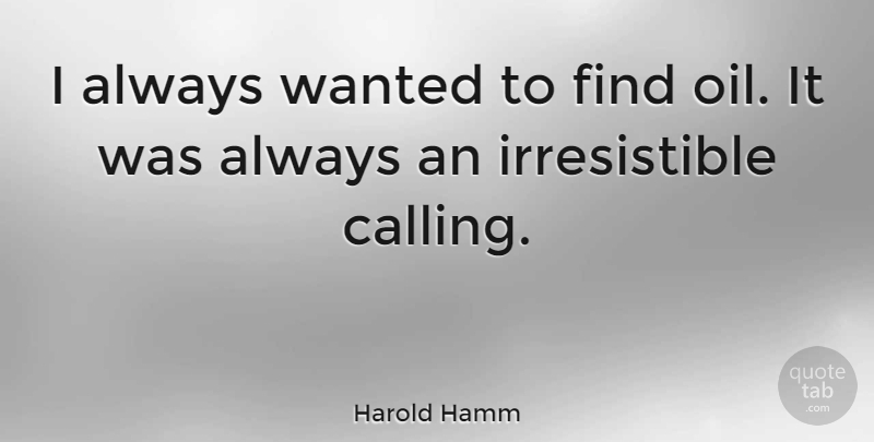 Harold Hamm Quote About Oil, Calling, Wanted: I Always Wanted To Find...