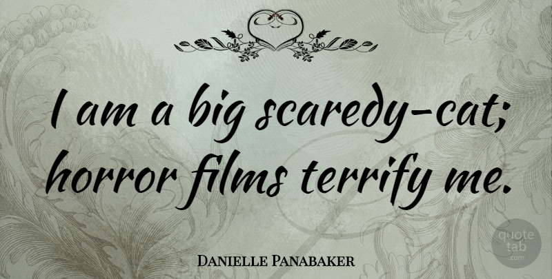 Danielle Panabaker Quote About undefined: I Am A Big Scaredy...