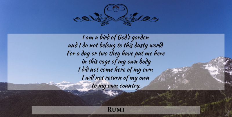 Rumi Quote About Wisdom, Country, Islamic: I Am A Bird Of...