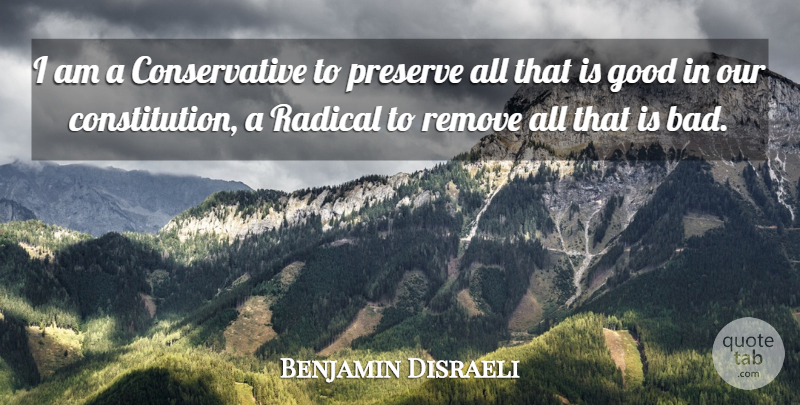 Benjamin Disraeli Quote About Conservative, Constitution, Radical: I Am A Conservative To...