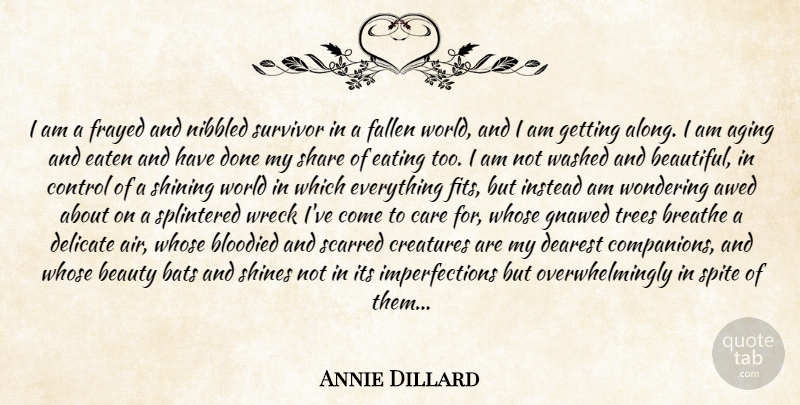 Annie Dillard Quote About Beautiful, Air, Shining: I Am A Frayed And...