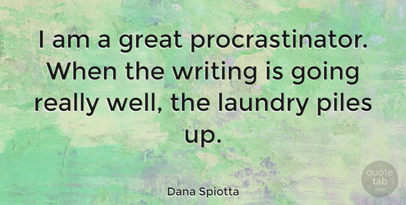 Dana Spiotta Quote About Writing, Laundry, Wells: I Am A Great Procrastinator...