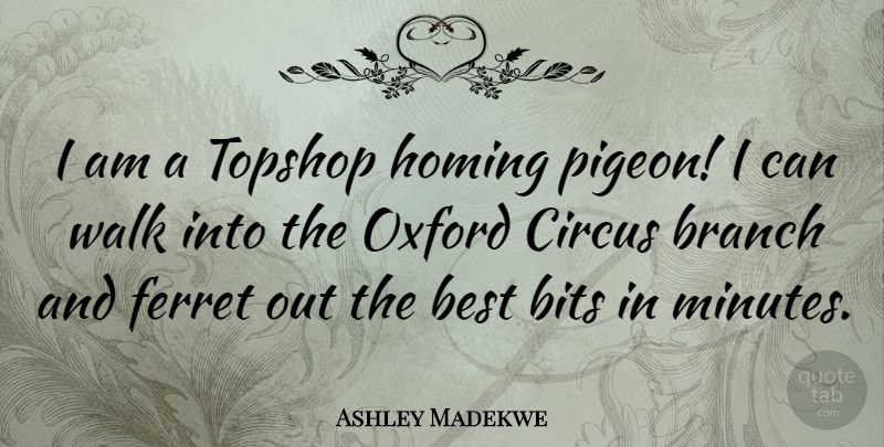 Ashley Madekwe Quote About Oxford, Ferrets, Branches: I Am A Topshop Homing...