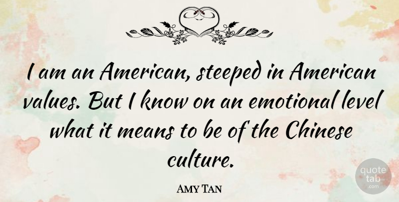 Amy Tan Quote About Chinese, Level, Means: I Am An American Steeped...