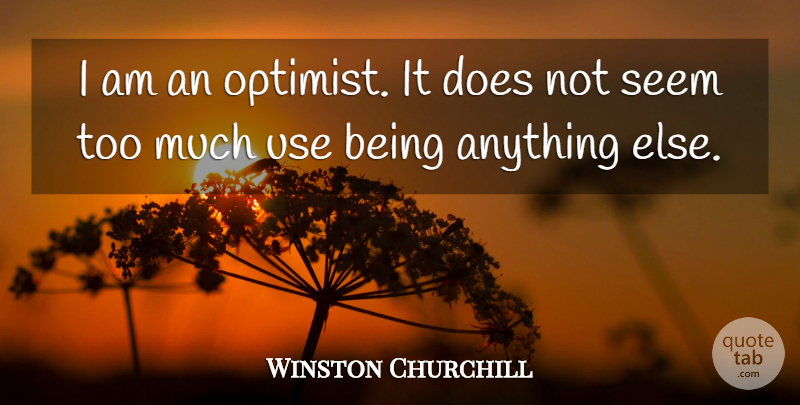 Winston Churchill Quote About Motivational, Positive, Attitude: I Am An Optimist It...