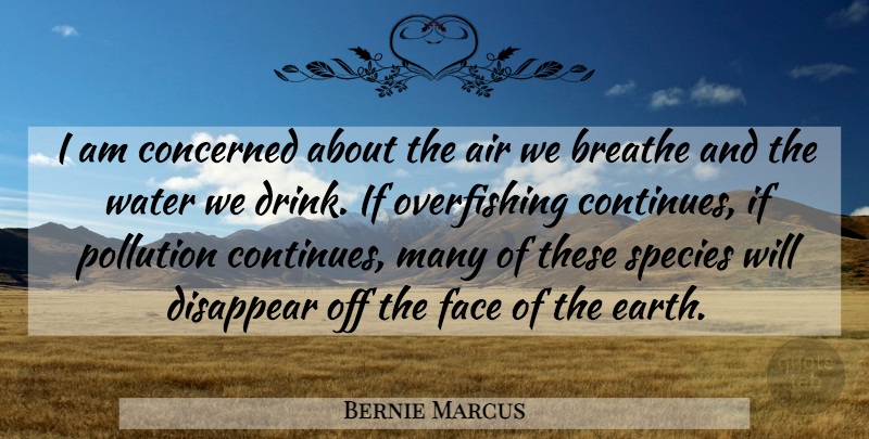 Bernie Marcus Quote About Air, Breathe, Concerned, Disappear, Face: I Am Concerned About The...