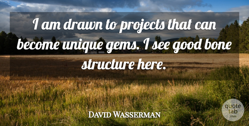 David Wasserman Quote About Bone, Drawn, Good, Projects, Structure: I Am Drawn To Projects...