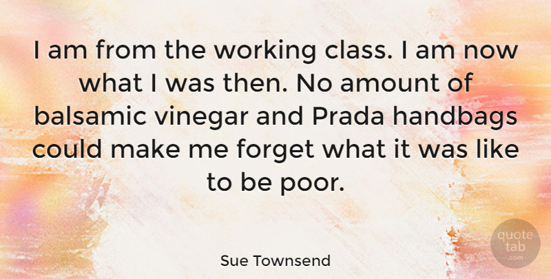 Sue Townsend Quote About Class, Vinegar, Handbags: I Am From The Working...
