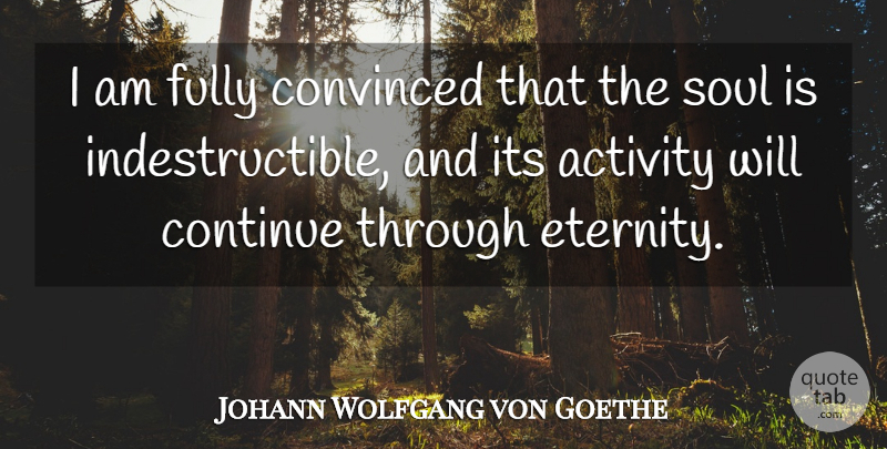 Johann Wolfgang von Goethe Quote About Soul, Eternity, Indestructible: I Am Fully Convinced That...