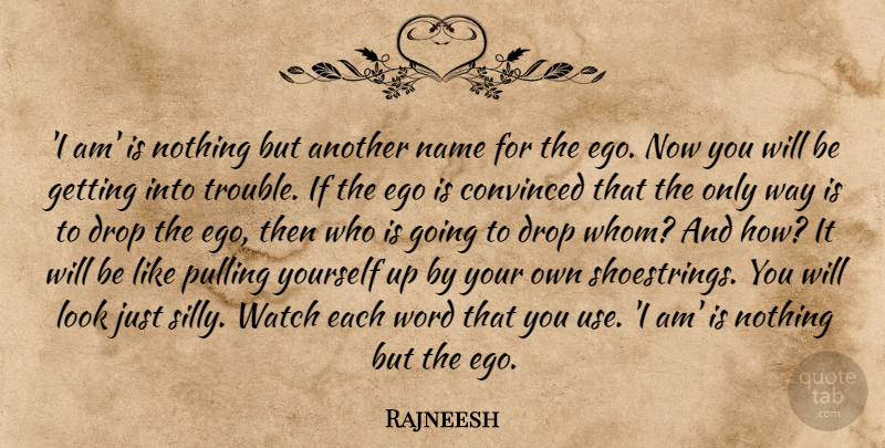Rajneesh Quote About Silly, Names, Ego: I Am Is Nothing But...