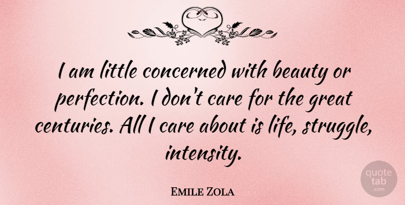 Emile Zola Quote About Beauty, Struggle, Perfection: I Am Little Concerned With...