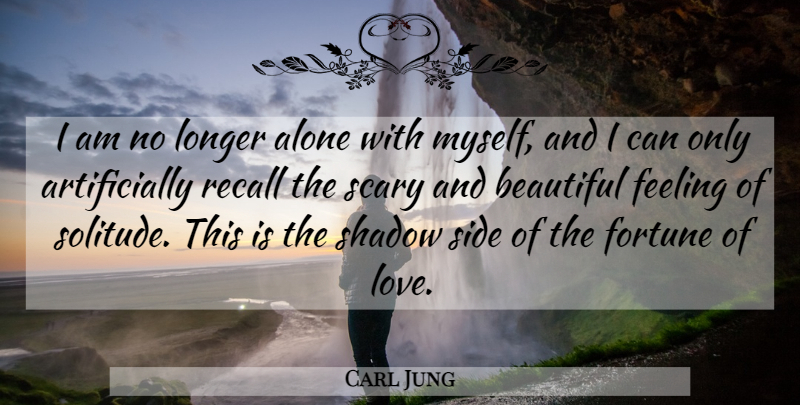 Carl Jung Quote About Beautiful, Scary, Solitude: I Am No Longer Alone...