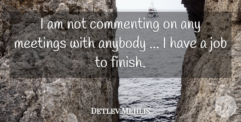 Detlev Mehlis Quote About Anybody, Commenting, Job, Meetings: I Am Not Commenting On...