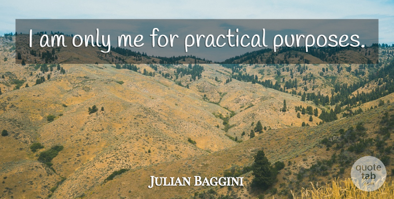 Julian Baggini Quote About Purpose, Practicals: I Am Only Me For...