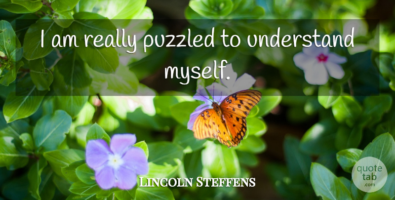 Lincoln Steffens Quote About Puzzled: I Am Really Puzzled To...