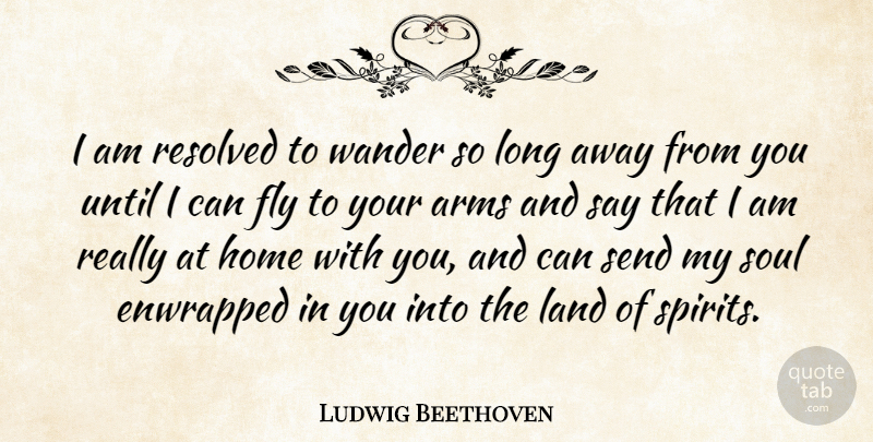 Ludwig Beethoven Quote About Arms, Fly, Home, Land, Resolved: I Am Resolved To Wander...