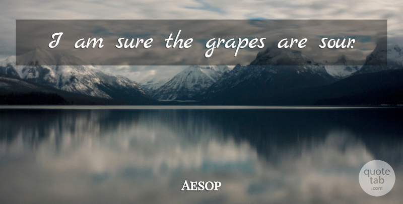 Aesop Quote About Grapes, Sour: I Am Sure The Grapes...