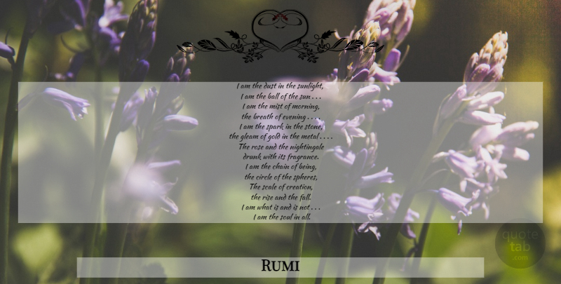 Rumi Quote About Morning, Fall, Dust: I Am The Dust In...