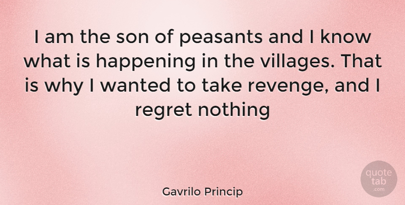 Gavrilo Princip Quote About Revenge, Regret, Son: I Am The Son Of...