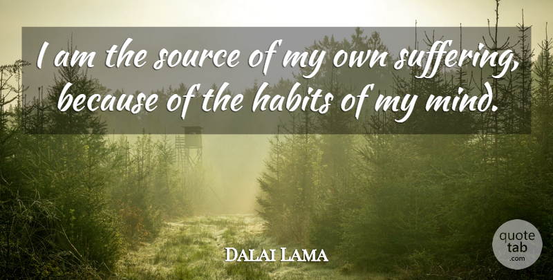 Dalai Lama Quote About Mind, Suffering, Habit: I Am The Source Of...