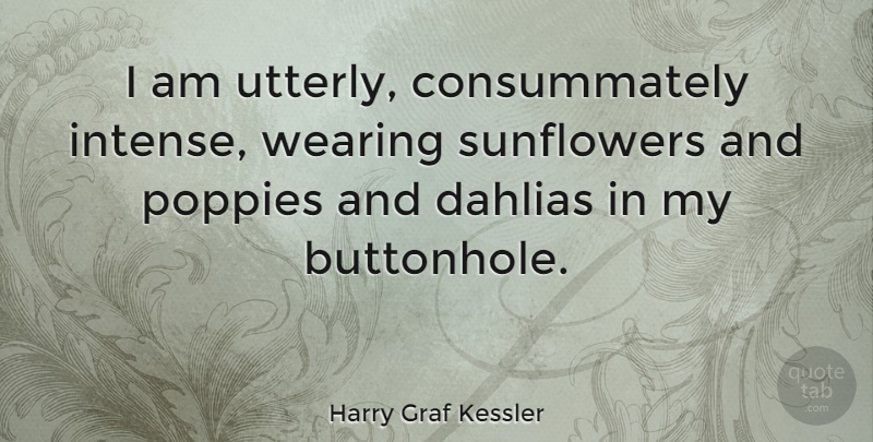 Harry Graf Kessler Quote About Wearing: I Am Utterly Consummately Intense...
