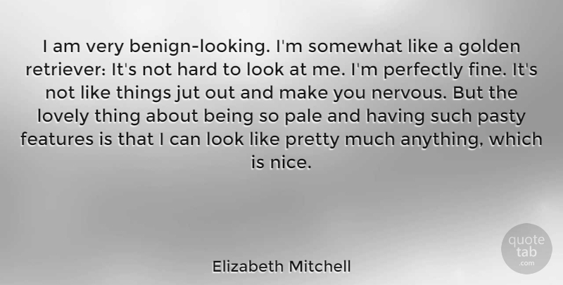Elizabeth Mitchell Quote About Features, Hard, Pale, Perfectly, Somewhat: I Am Very Benign Looking...