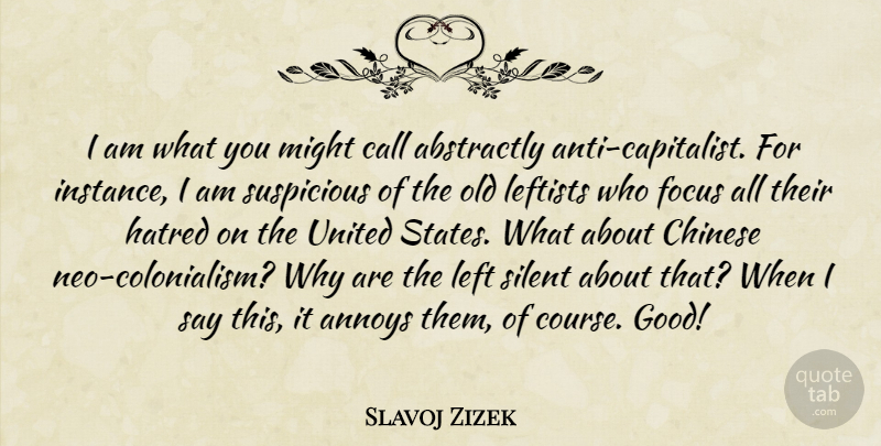 Slavoj Zizek Quote About Focus, Hatred, Annoyed: I Am What You Might...