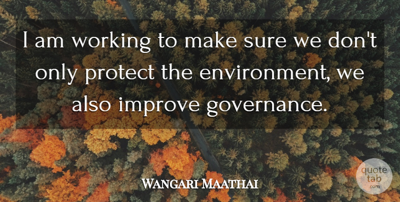 Wangari Maathai Quote About Environment, Protect, Governance: I Am Working To Make...
